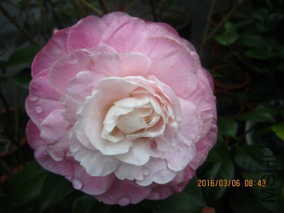 IMG_7353_编辑.jpg