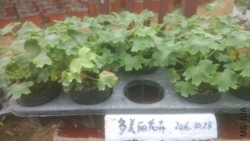 �����