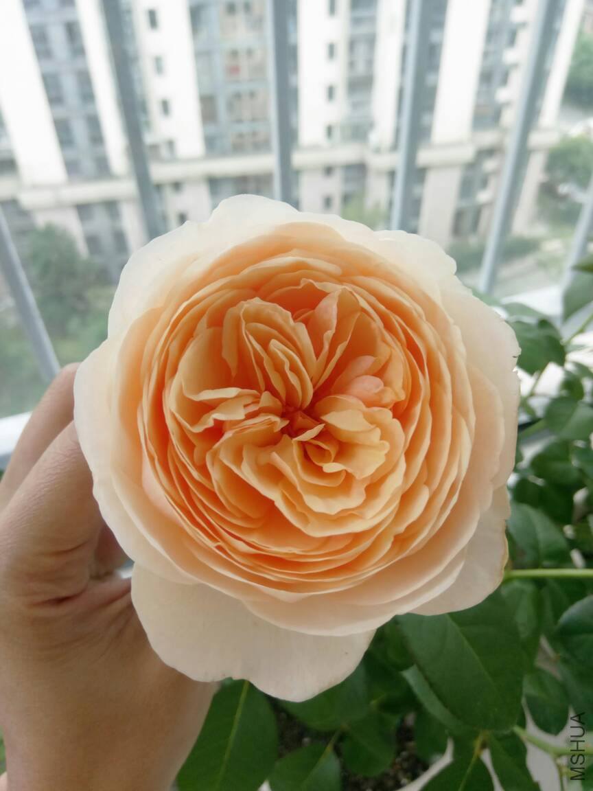 082923rhs8kqggnyneu8yk.jpg