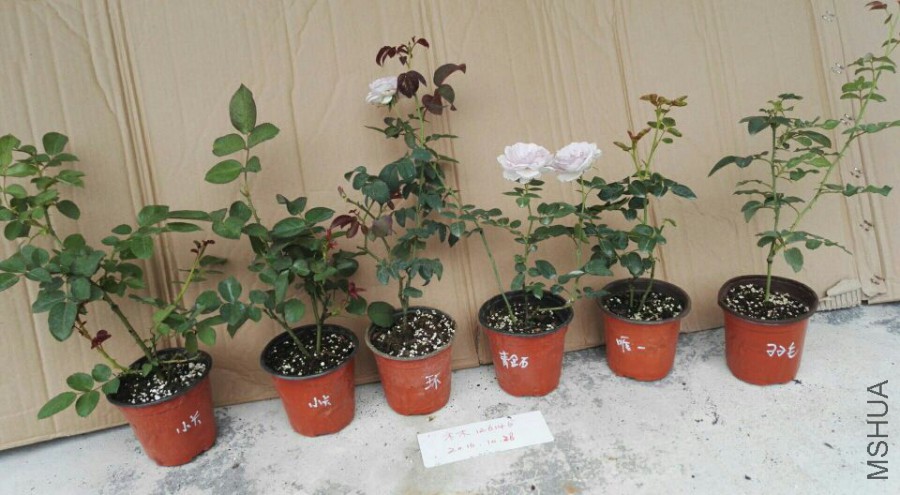 -54ec8be05b42ae32.jpg