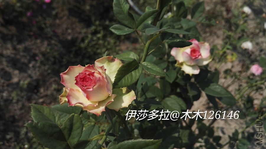 -3d6994406af99447.jpg
