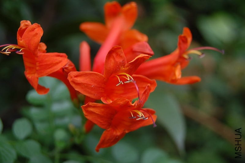 201143ybwpk9p9npdnttth.jpg