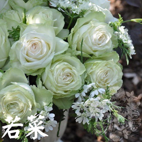 img61548014.jpg