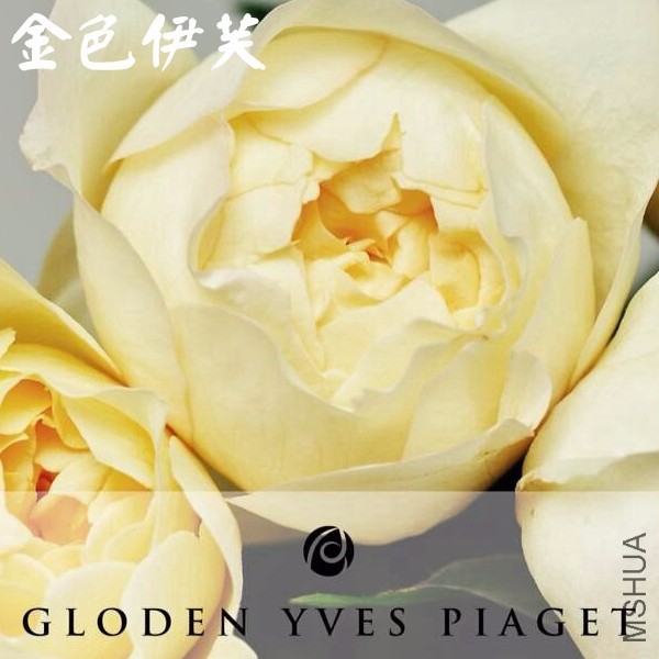 QQͼƬ20141221213732.jpg