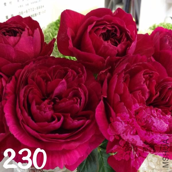 800-600.ac128122a057bb7af2e03933e200d3caa809cc8b_wzyt_77_wzyt3_t.ee839e.jpg