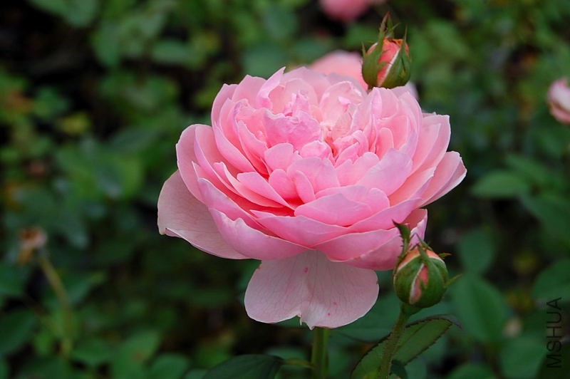 DSC_84130063.JPG