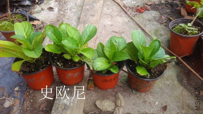 QQͼƬ20161030111141.jpg