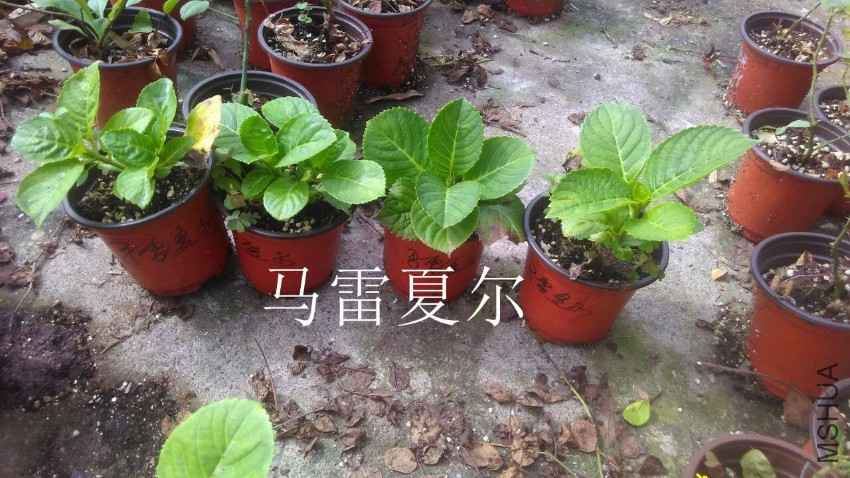 QQͼƬ20161030111150.jpg