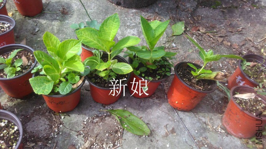 QQͼƬ20161030111154.jpg