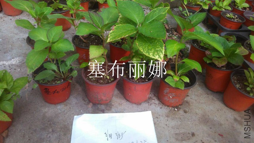QQͼƬ20161030111212.jpg