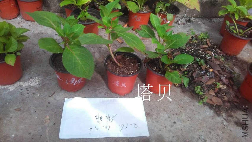 QQͼƬ20161030111217.jpg