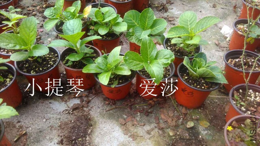 QQͼƬ20161030111435.jpg