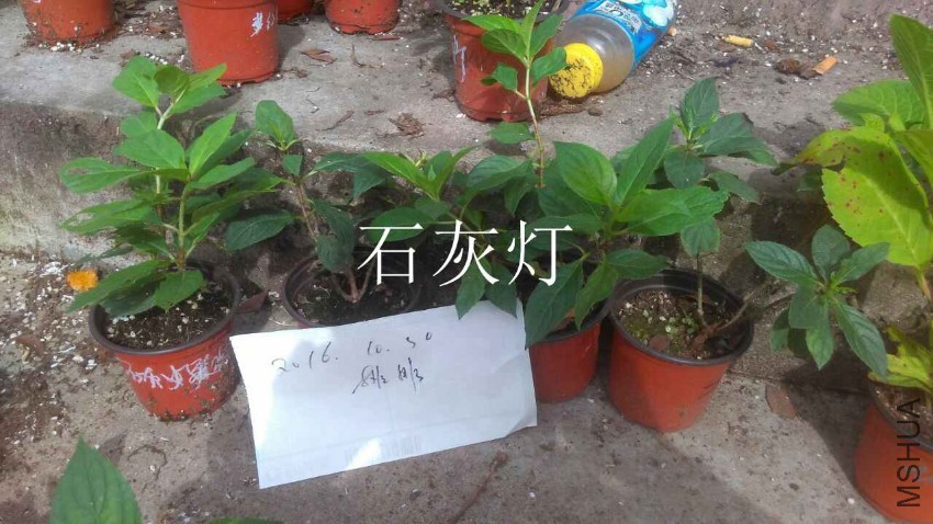 QQͼƬ20161030111224.jpg