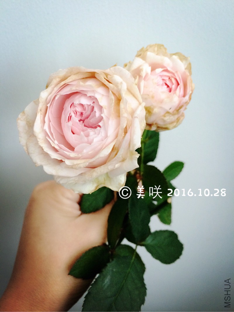 145415gz1rcrh1wbthgcg8.jpg