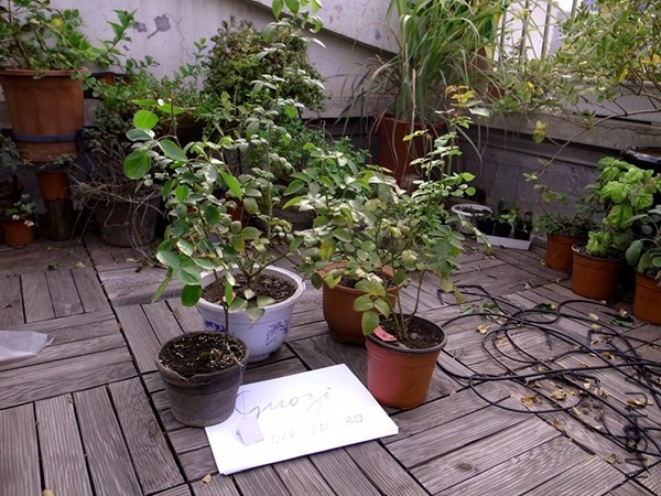R0014878.JPG