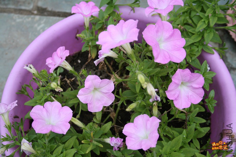 ��Ƭ 024_����.jpg