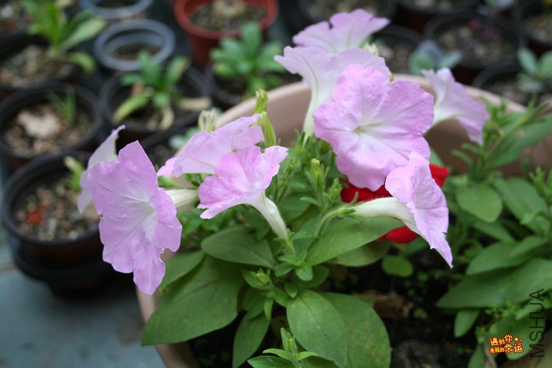 ��Ƭ 032_����.jpg