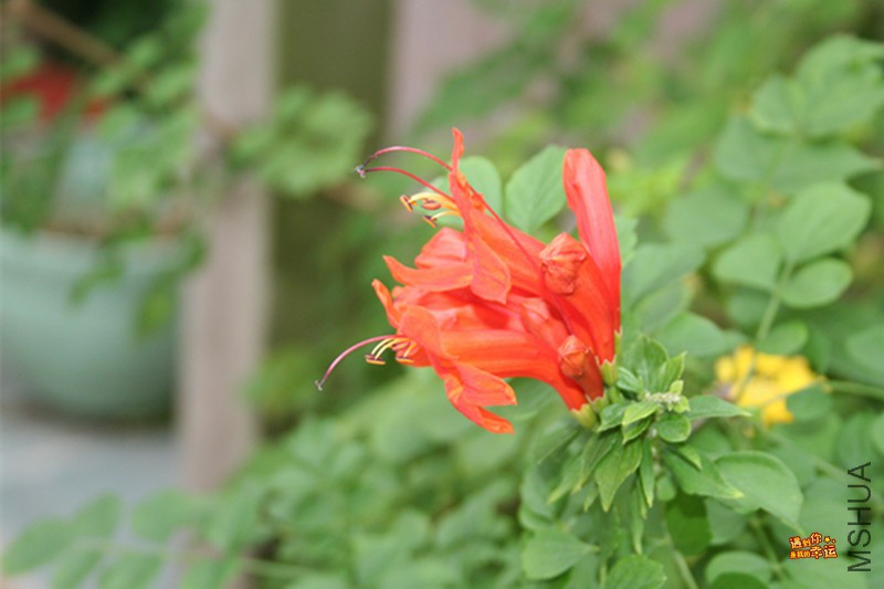 ��Ƭ 040_����.jpg