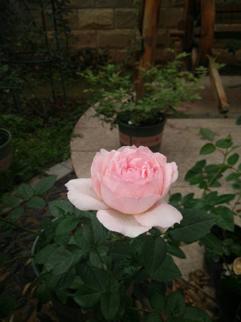 192653kbrxi2xl0xo10233.jpg