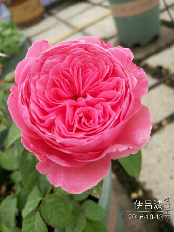 6e269dda81cb39db8ab74a84d8160924a91830cb.jpg