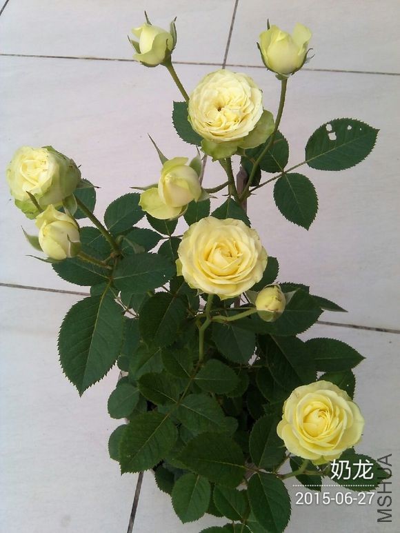 780dba094b36acaff6c1bb2e74d98d1000e99c26.jpg