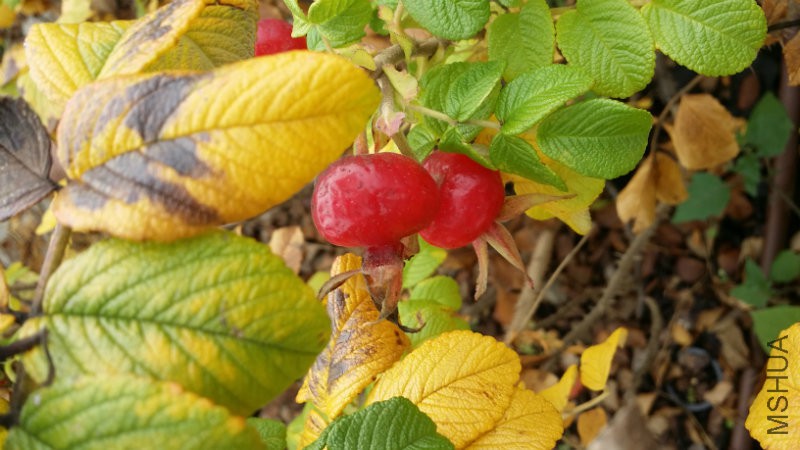 20161030_140057.jpg