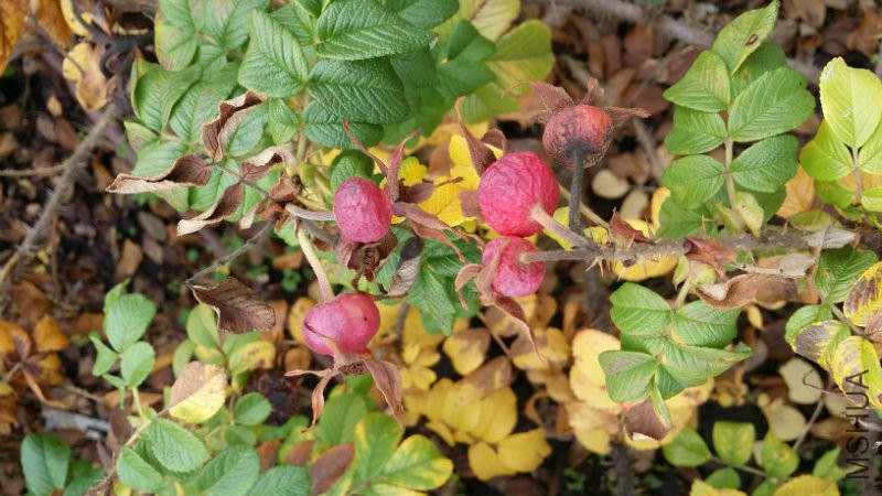20161030_135829.jpg