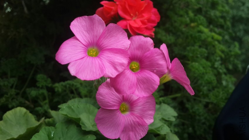 2014-11-02 12.40.57.jpg