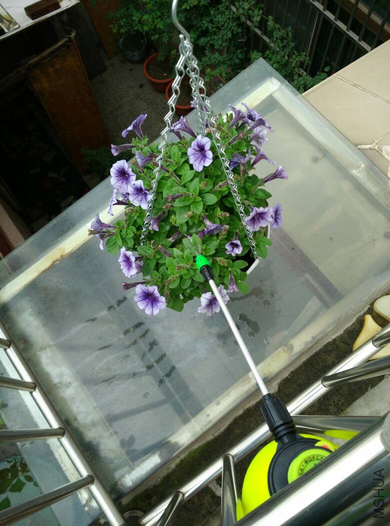 150522ojguthzbu5805d6d.jpg