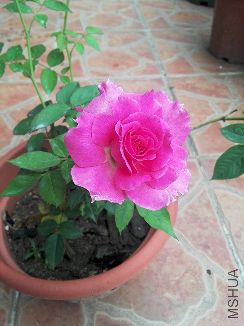 ͼƬ08.jpg
