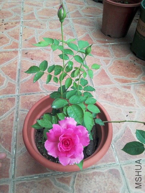ͼƬ09.jpg