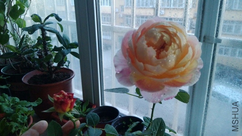 20161031_05.jpg