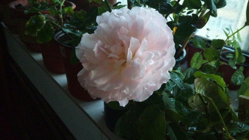 20161031_06.jpg