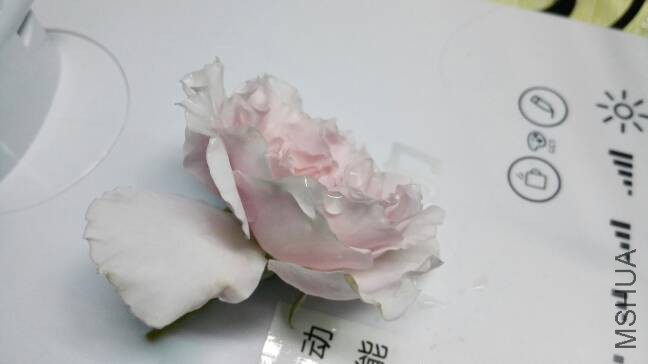 214142ru1k85nkowon5j3f.jpg