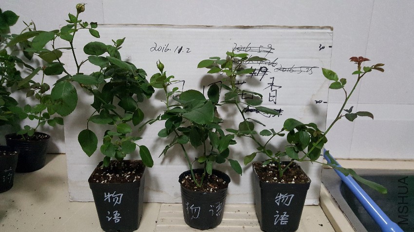 20161101_204509.jpg