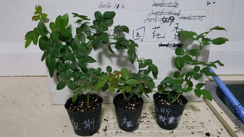 20161101_222535.jpg