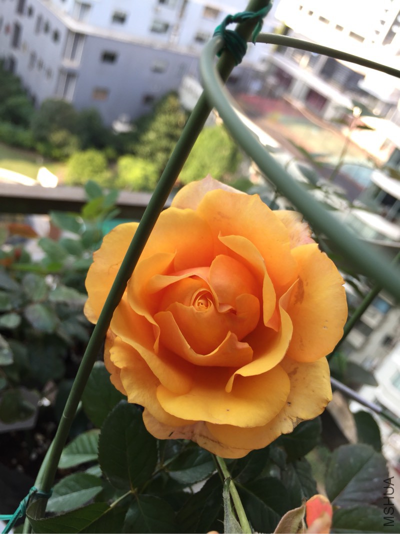 150536u63q63pe00eioizd.jpg