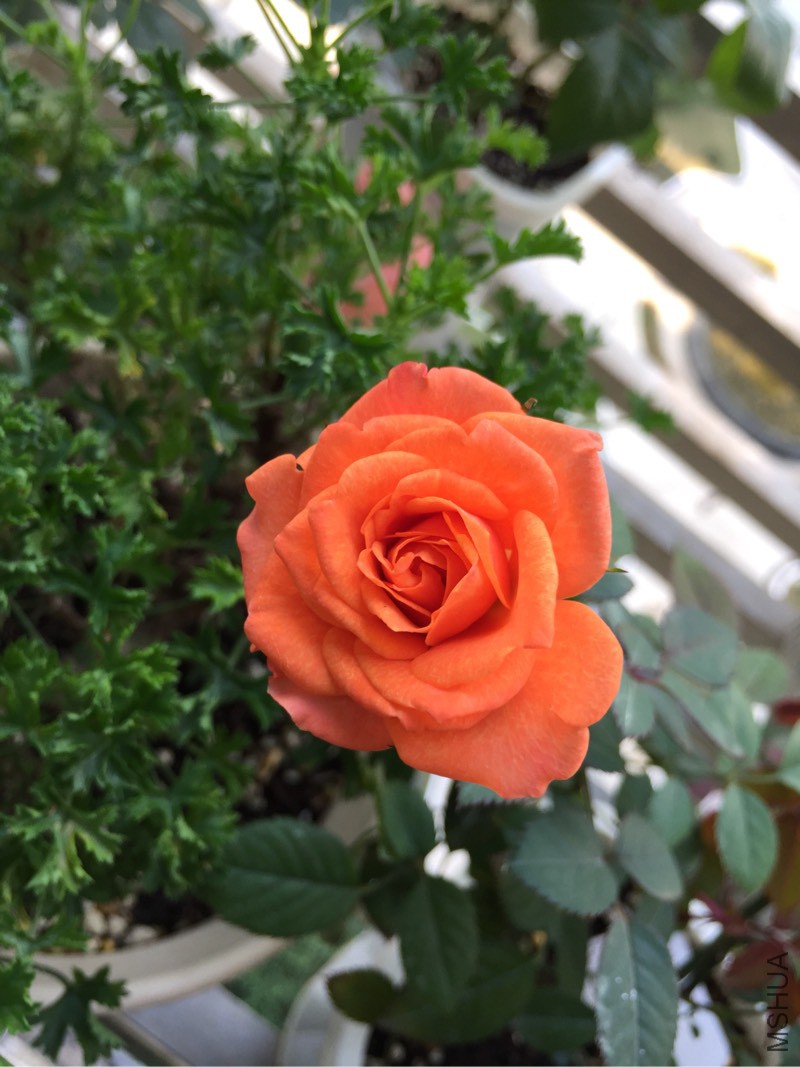 150537o2fvf393f9l6zavf.jpg