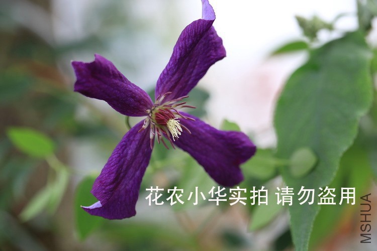 �����ܿ�01750.jpg