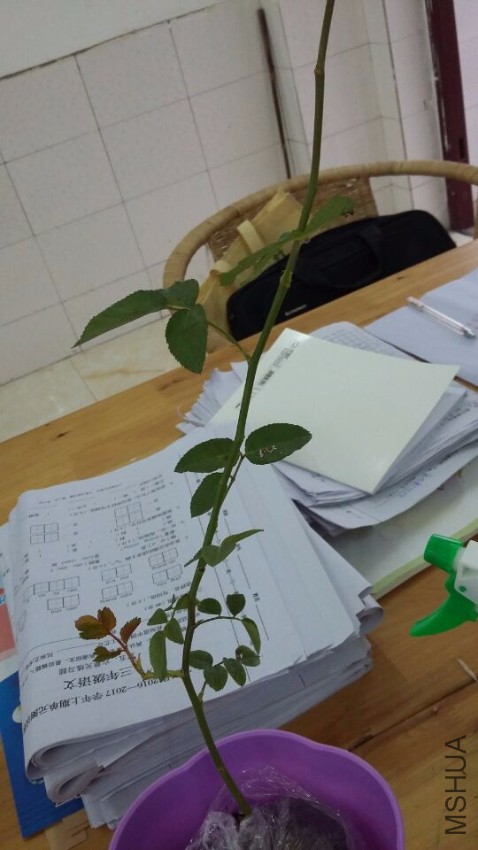 QQͼƬ20161102174202.jpg