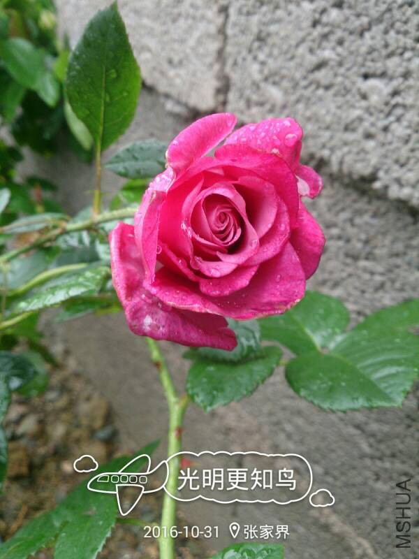 232247q8xx82x35s82vd9d.jpg
