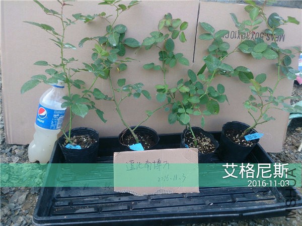 2016_11_03_14_05_49.jpg