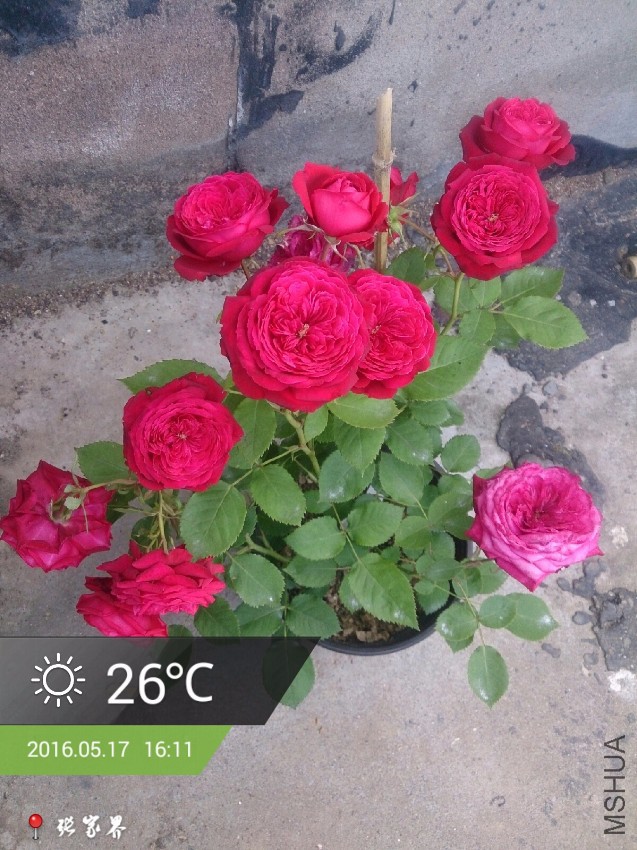���ؿ���(1).jpg