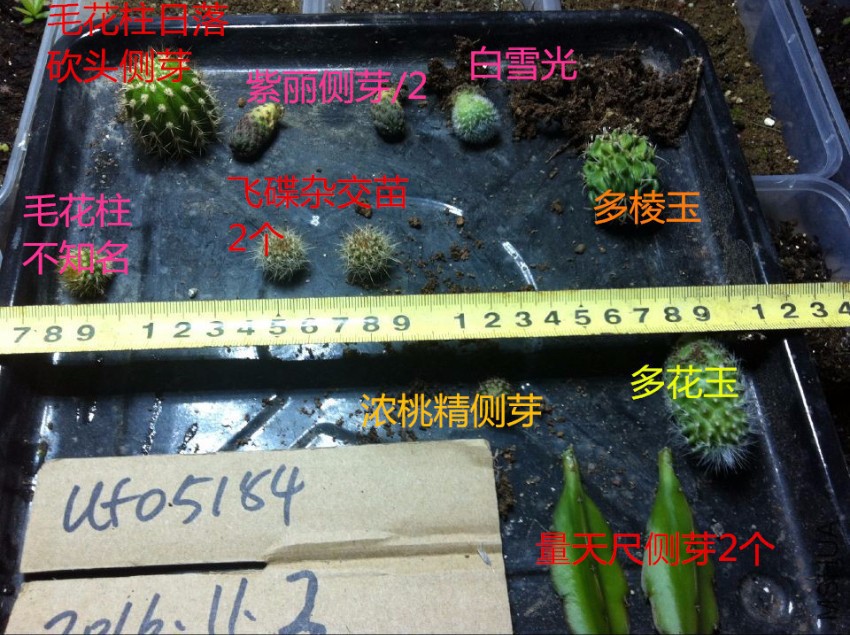 QQͼƬ20161104213601.jpg