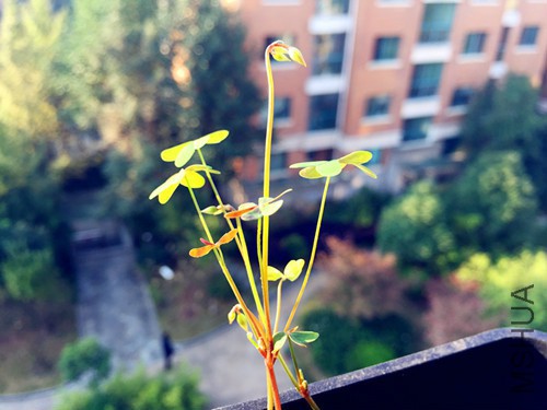 1478273987_IMG_7792_����.jpg