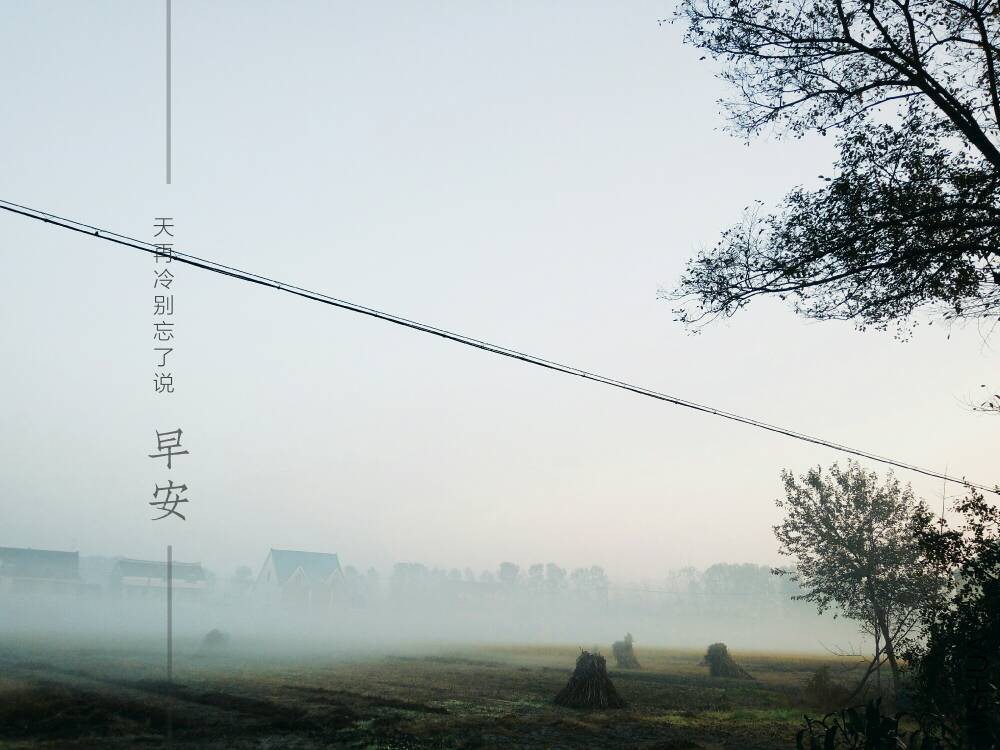 144046ykvrbb8vv4vv864o.jpg