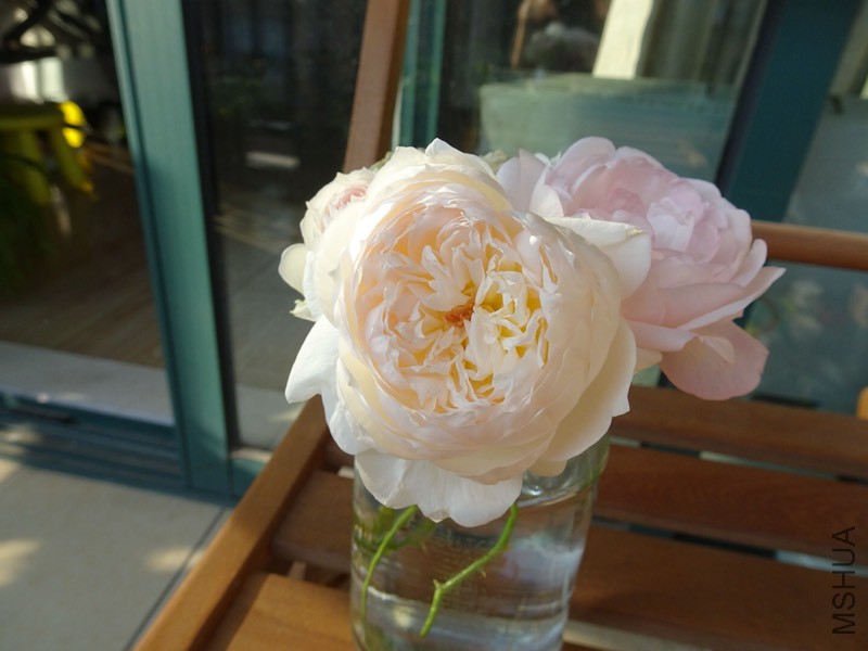 152213sxxr5qa3shrqysff.jpg