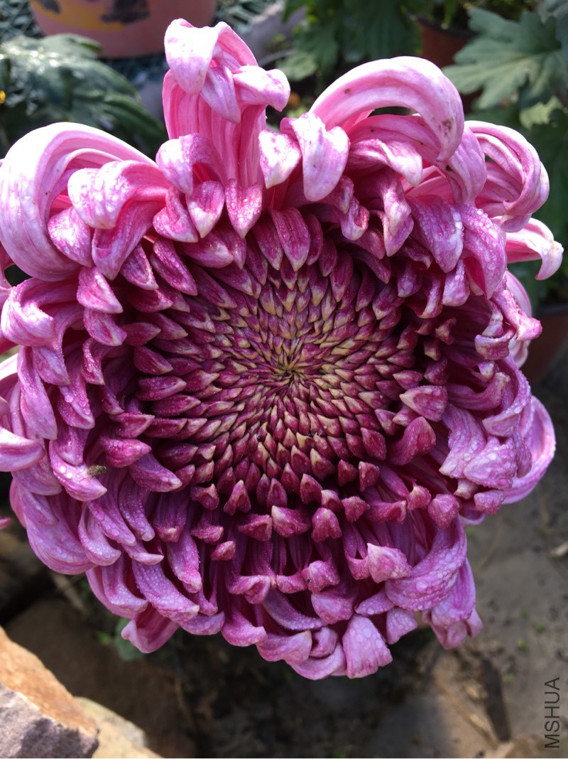 211741l647np54x6414366.jpg