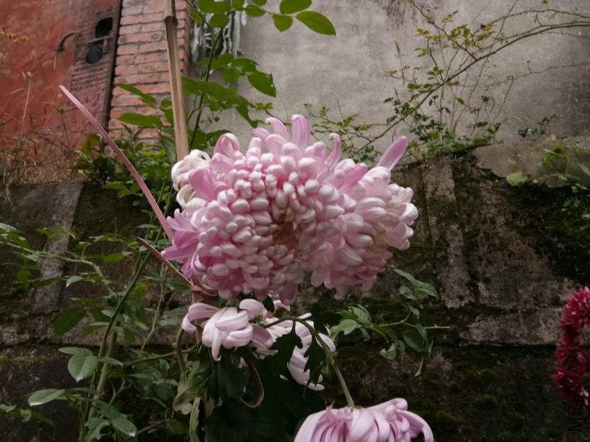 webwxgetmsgimg (94).jpg