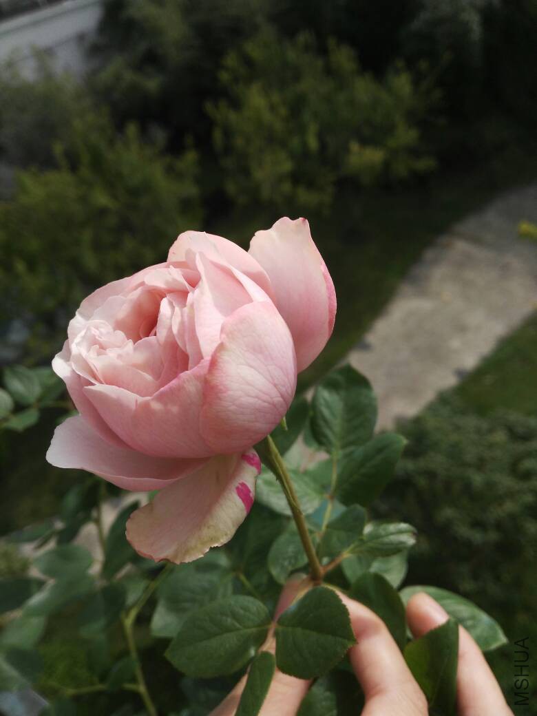 090355bd56zwd3d4j9vz53.jpg